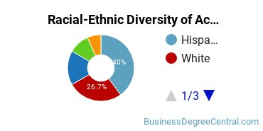 Racial-Ethnic Diversity of Accounting Majors at Saint Peter's University