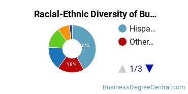 Racial-ethnic diversity of Business Administration & Management majors at St. Thomas University