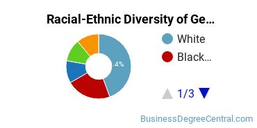 Racial-Ethnic Diversity of General Economics Majors at Salem College