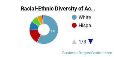 Racial-ethnic diversity of Accounting majors at Salem State University