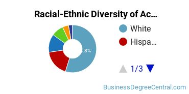 Racial-Ethnic Diversity of Accounting Majors at Salem State University