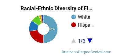 Racial-Ethnic Diversity of Finance Majors at Salem State University