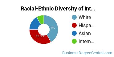 Racial-Ethnic Diversity of International Business/Trade/Commerce Majors at Salem State University