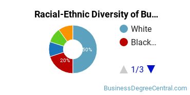 Racial-Ethnic Diversity of Business Economics Majors at Salisbury University