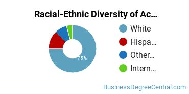Racial-Ethnic Diversity of Accounting Majors at Salve Regina University