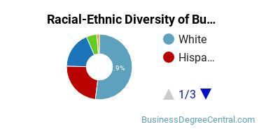 Racial-ethnic diversity of Business Administration & Management majors at Sam Houston State University