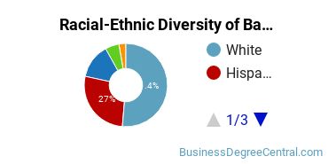 Racial-Ethnic Diversity of Banking and Financial Support Services Majors at Sam Houston State University
