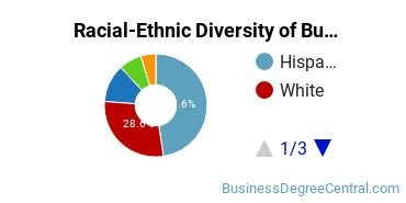 Racial-ethnic diversity of Business Administration & Management majors at San Antonio College