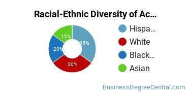 Racial-Ethnic Diversity of Accounting Majors at San Jacinto Community College