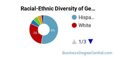 Racial-Ethnic Diversity of General Business/Commerce Majors at San Jacinto Community College