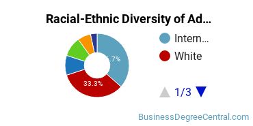 Racial-Ethnic Diversity of Advertising Majors at School of Visual Arts