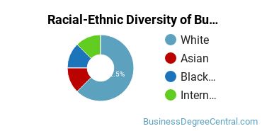 Racial-Ethnic Diversity of Business & Office Technology Majors at Schoolcraft College