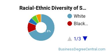 Racial-Ethnic Diversity of Small Business Administration/Management Majors at Schoolcraft College