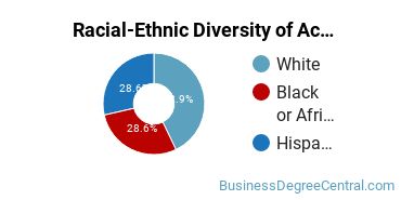 Racial-Ethnic Diversity of Accounting Majors at Schreiner University