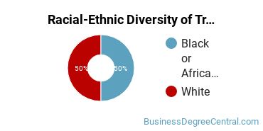 Racial-Ethnic Diversity of Transportation/Mobility Management Majors at Seminole State College of Florida