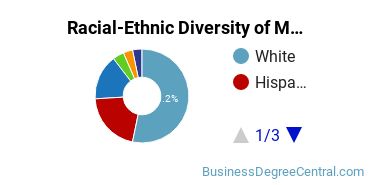 Racial-ethnic diversity of Management Information Systems majors at Seminole State College of Florida