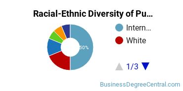 Racial-Ethnic Diversity of Public Relations Majors at Seton Hall University