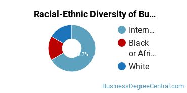 Racial-Ethnic Diversity of Business Economics Majors at Shenandoah University