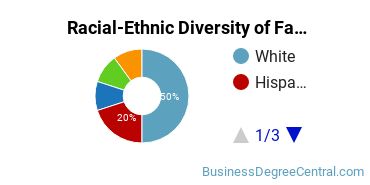 Racial-Ethnic Diversity of Fashion Merchandising Majors at The Art Institute of Dallas