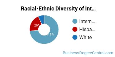 Racial-Ethnic Diversity of International Business/Trade/Commerce Majors at Southeast Missouri State University