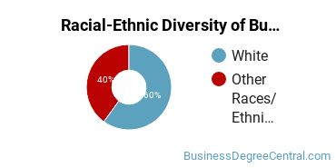 Racial-ethnic diversity of Business Administration & Management majors at Southeastern Community College