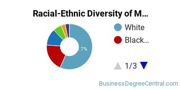 Racial-Ethnic Diversity of Management Science Majors at Southern Illinois University Carbondale