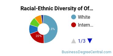 Racial-Ethnic Diversity of Office Administration Majors at Southern Methodist University