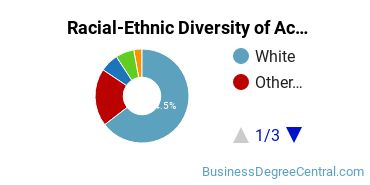 Racial-Ethnic Diversity of Accounting Majors at Southern New Hampshire University