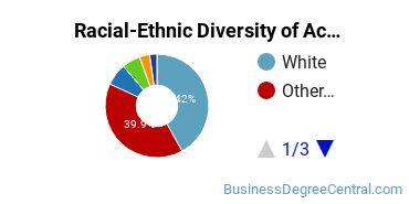 Racial-Ethnic Diversity of Accounting Majors at Southern New Hampshire University