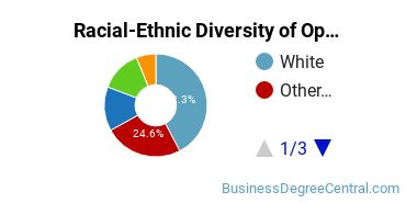Racial-Ethnic Diversity of Operations Management Majors at Southern New Hampshire University