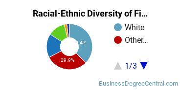 Racial-Ethnic Diversity of Finance Majors at Southern New Hampshire University