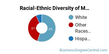 Racial-Ethnic Diversity of Marketing/Marketing Management, General Majors at Southern New Hampshire University