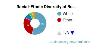 Racial-Ethnic Diversity of Business Management & Marketing Majors at Southern New Hampshire University