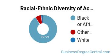 Racial-Ethnic Diversity of Accounting Majors at Southern University and A & M College
