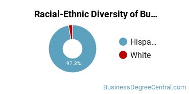 Racial-ethnic diversity of Business Administration & Management majors at Southwest University at El Paso