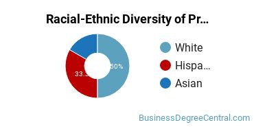 Racial-Ethnic Diversity of Professional Sales Majors at St Catherine University