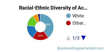Racial-Ethnic Diversity of Accounting Majors at St. Francis College