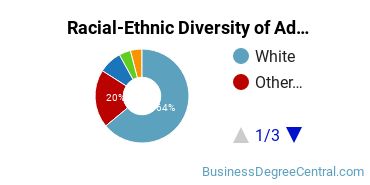 Racial-Ethnic Diversity of Advertising Majors at St John's University - New York