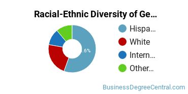 Racial-Ethnic Diversity of General Economics Majors at St. Mary's University