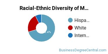 Racial-Ethnic Diversity of Marketing/Marketing Management, General Majors at St. Mary's University