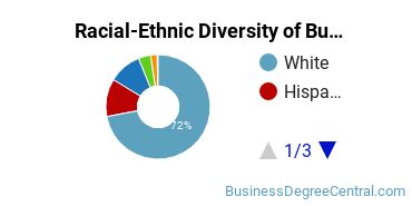 Racial-ethnic diversity of Business Administration & Management majors at St Petersburg College