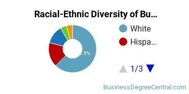 Racial-ethnic diversity of Business Administration & Management majors at State College of Florida-Manatee-Sarasota