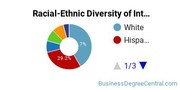 Racial-Ethnic Diversity of International Business/Trade/Commerce Majors at SUNY New Paltz