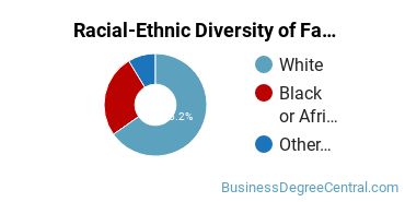 Racial-Ethnic Diversity of Fashion Merchandising Majors at Stephens College