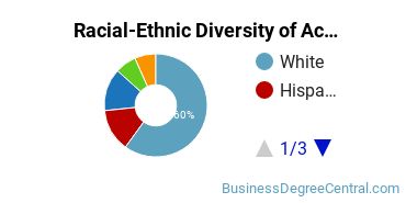 Racial-Ethnic Diversity of Accounting Majors at Stetson University