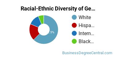 Racial-Ethnic Diversity of General Economics Majors at Stetson University