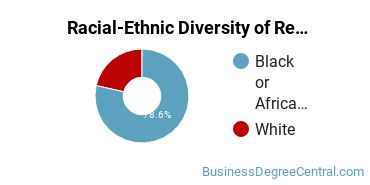 Racial-Ethnic Diversity of Retailing and Retail Operations Majors at Stevens - The Institute of Business & Arts