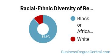 Racial-Ethnic Diversity of Retailing and Retail Operations Majors at Stevens - The Institute of Business & Arts
