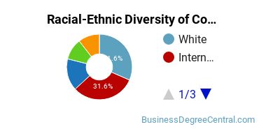 Racial-ethnic diversity of Construction Management majors at Stevens Institute of Technology