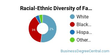 Racial-Ethnic Diversity of Fashion Merchandising Majors at Stevenson University